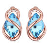 Picture of Austrian Crystal Earrings - Stone Surrounded