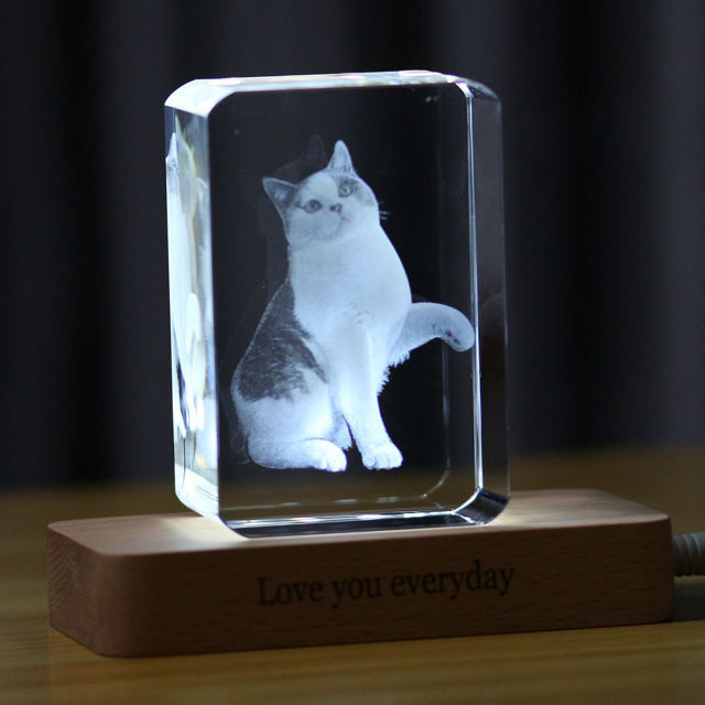 Picture of 3D Laser Crystal Gift in Portrait Rectangle