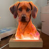 Picture of Colorful Personalized Wooden Base 3D Night Lamp With Your Lovely Photo