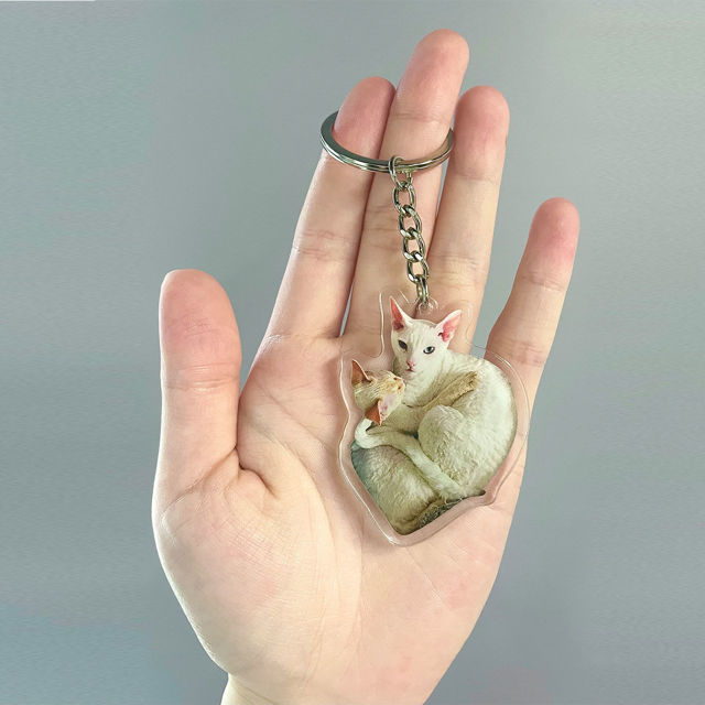 Picture of Custom Photo Acrylic Keychain - Custom Photo Keychain with Pets Photo - Double Sided Printed Dog/Cat Photo Keychain - Best Gifts for Pet Lovers