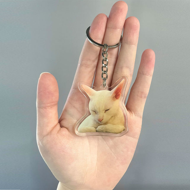 Picture of Custom Photo Acrylic Keychain - Custom Photo Keychain with Pets Photo - Double Sided Printed Dog/Cat Photo Keychain - Best Gifts for Pet Lovers