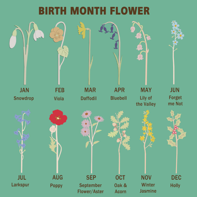 Picture of Personalized Wooden Family Birth Flowers - Grandma's Garden Sign - Mother's Day & Wedding Anniversary Gift