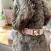 Picture of Personalized Pet Name Collar - Custom Multiple Color Velvet Dog/Cat Collar - Engraved Pet Name Tag Metal Buckle - Wedding Puppy Gift