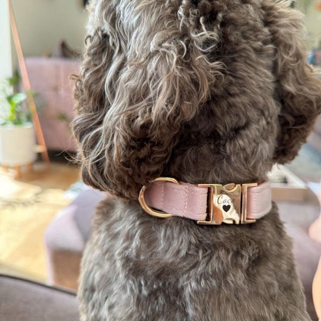 Picture of Personalized Pet Name Collar - Custom Multiple Color Velvet Dog/Cat Collar - Engraved Pet Name Tag Metal Buckle - Wedding Puppy Gift