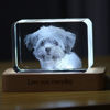 Picture of 3D Laser Crystal Gift in Landscape Rectangle